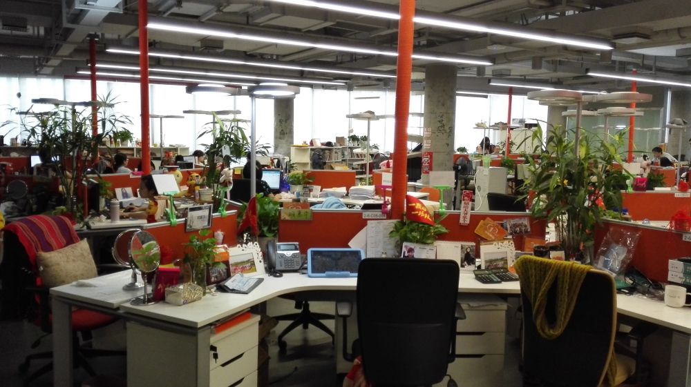 Professional and excellent service team (2)